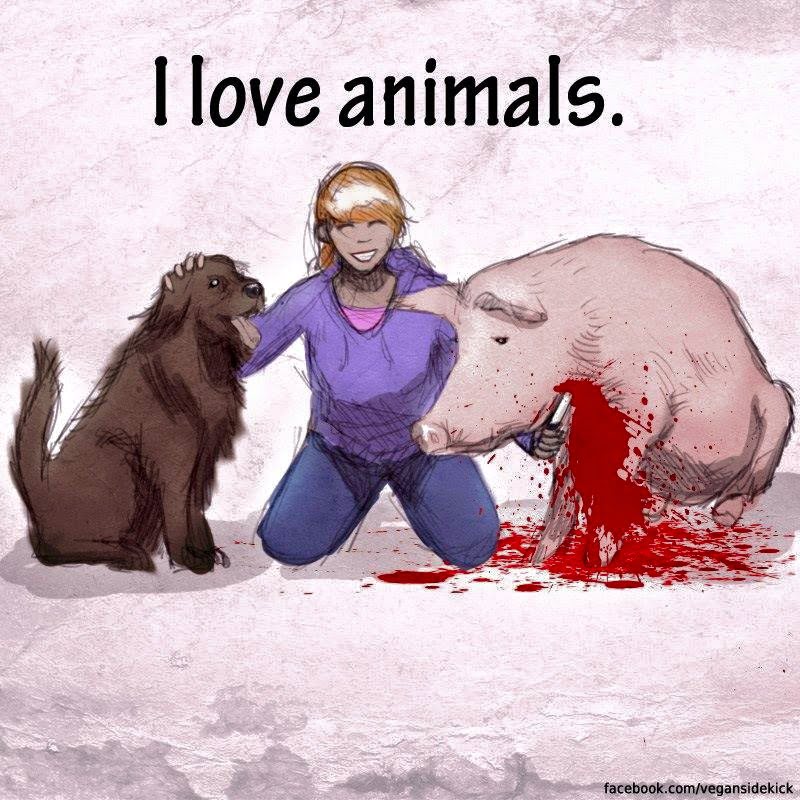 I love animals