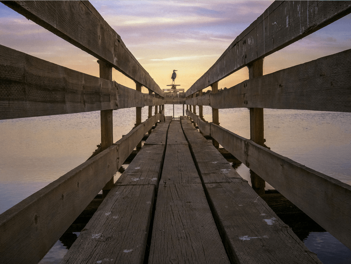 Light-16-Sample-Photo-Sunset-Bridge-Sea-Bird