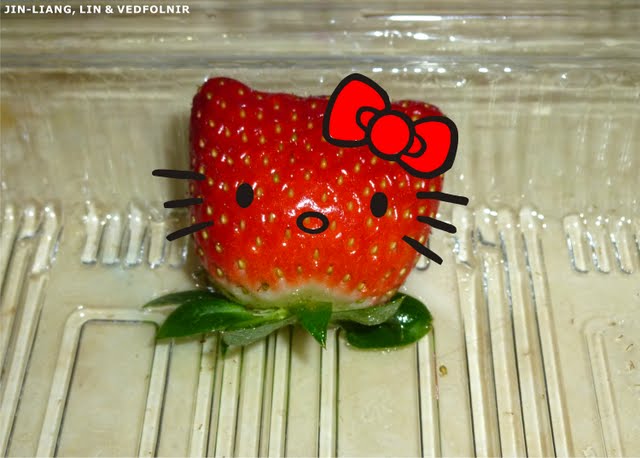 草莓凱蒂貓