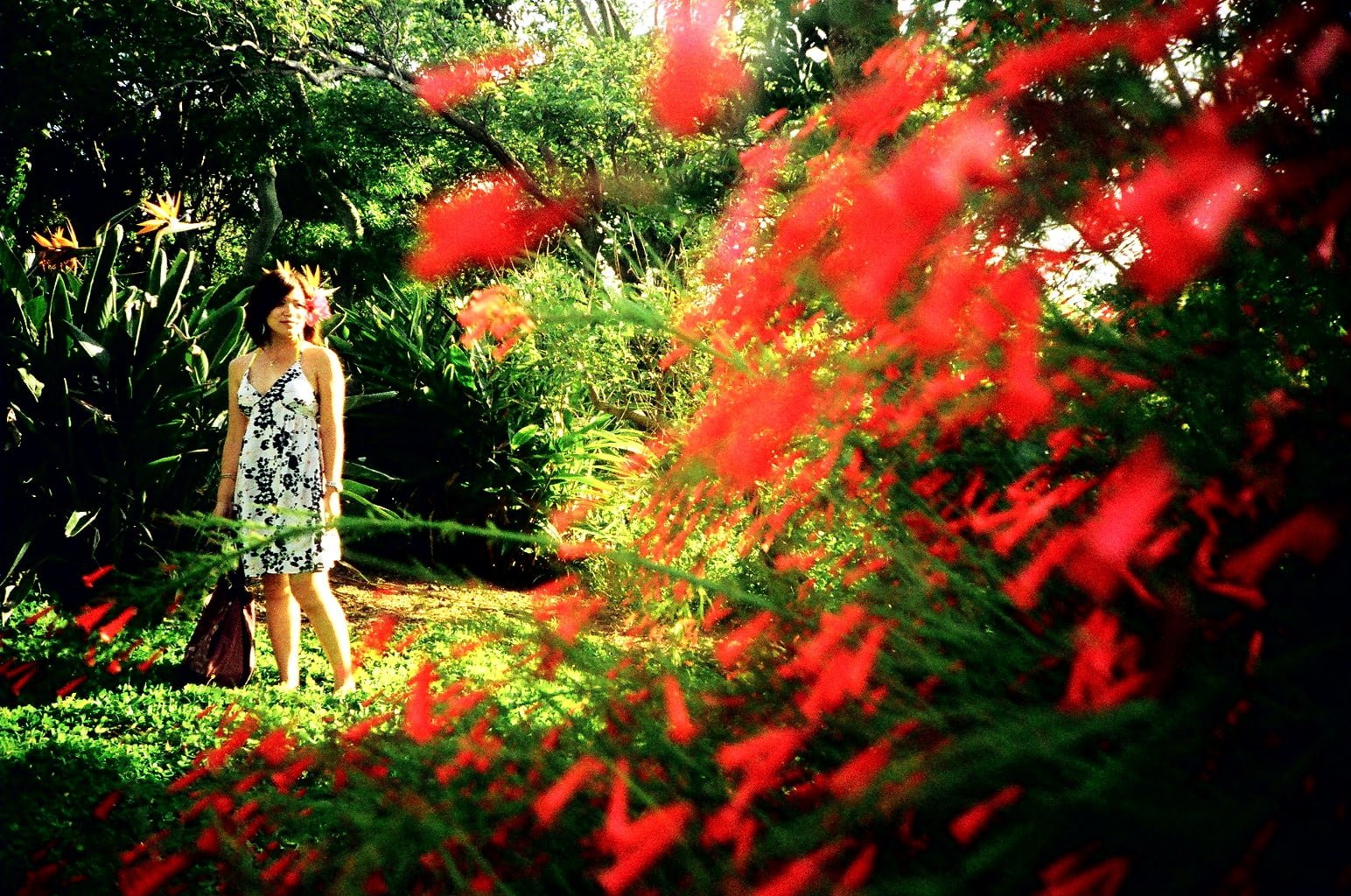 Okinawa-Girl-Photography