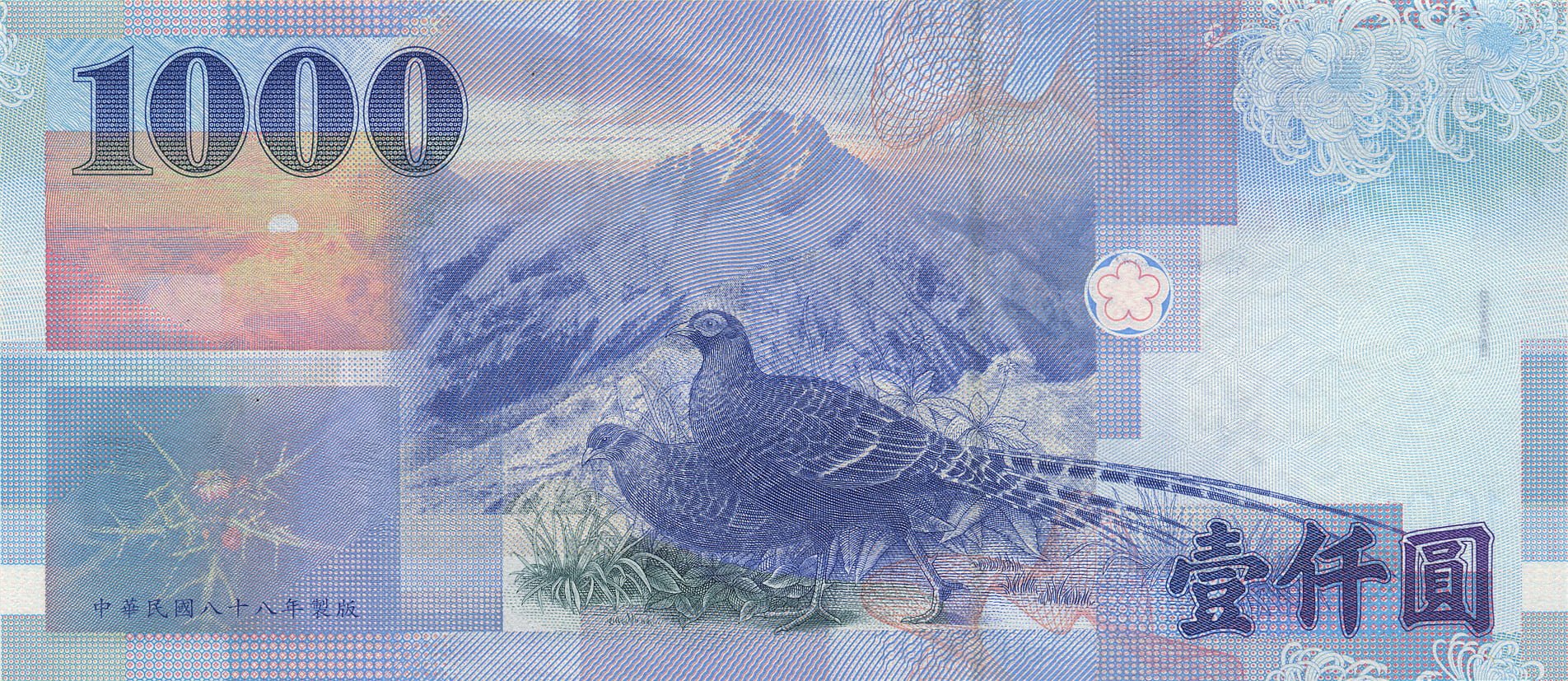 新台幣 1000 元(背面)