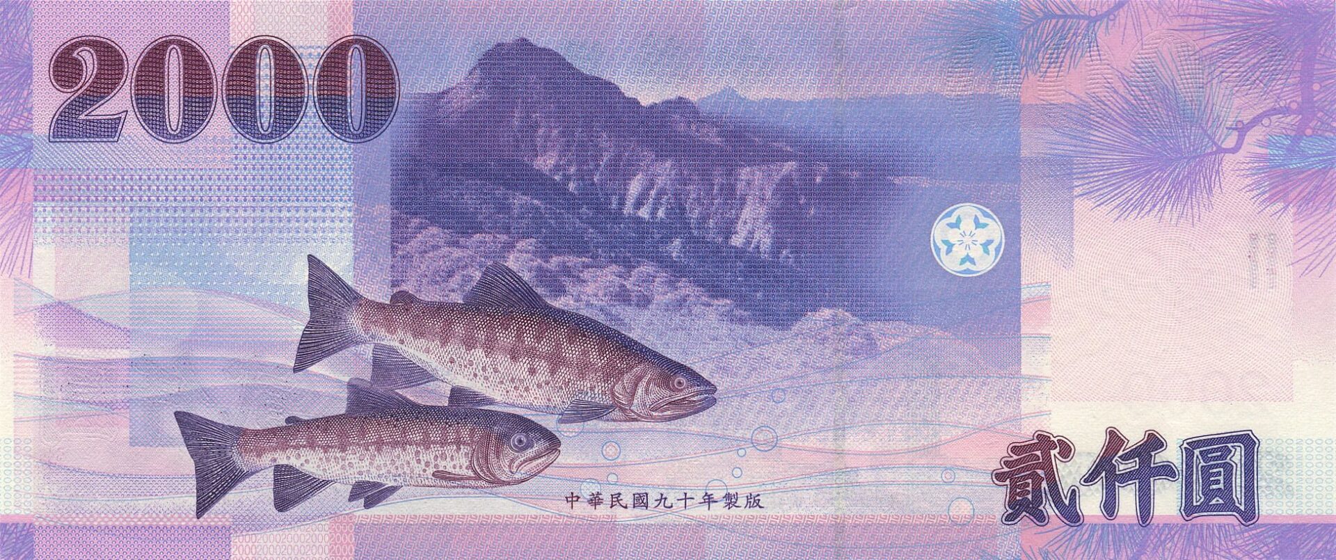 新台幣 2000 元(背面)