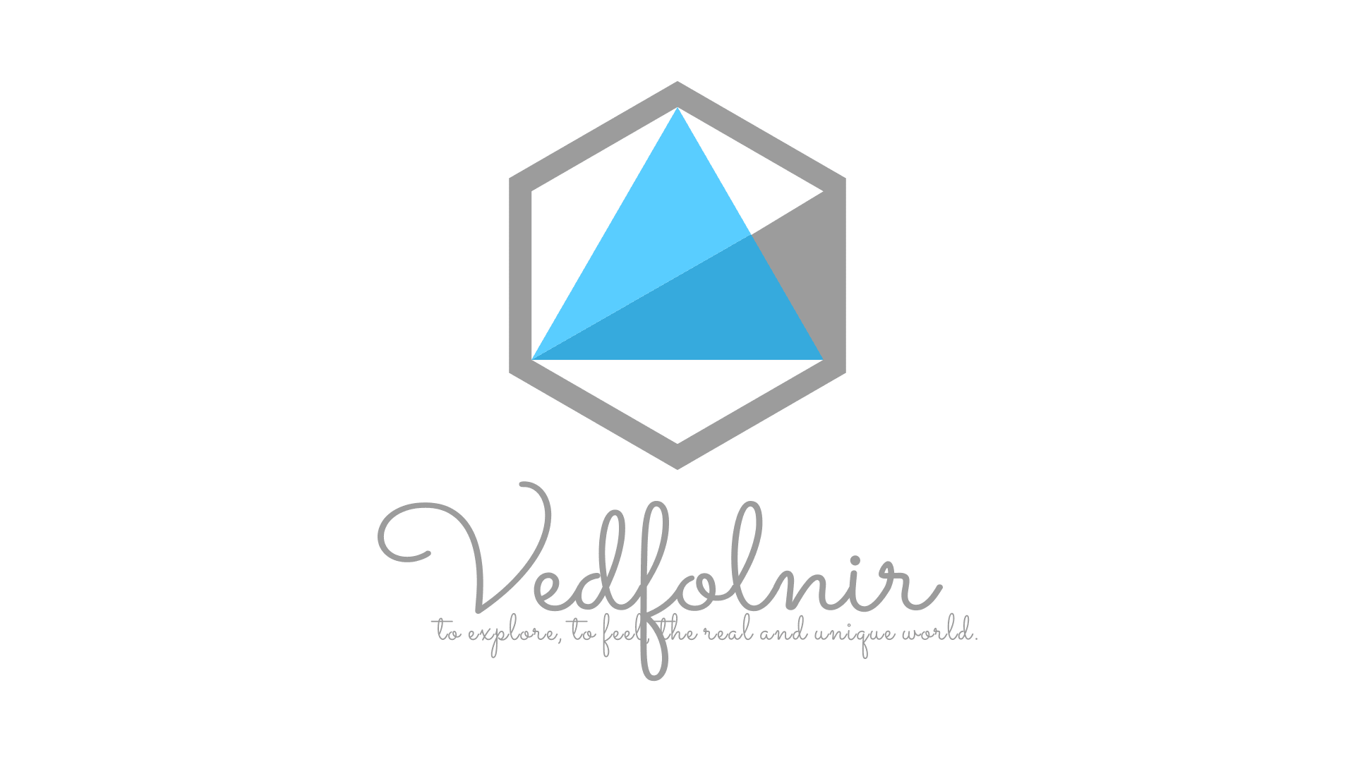 Vedfolnir 幾何学アイロゴ