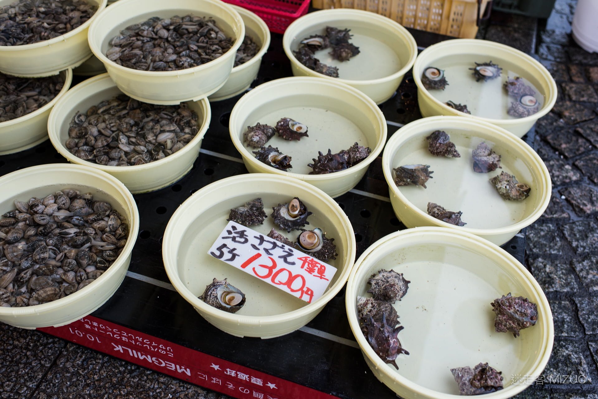 走入那珂湊魚市場內部，攤位上陳列著剛捕撈上岸的滿滿當季海鮮