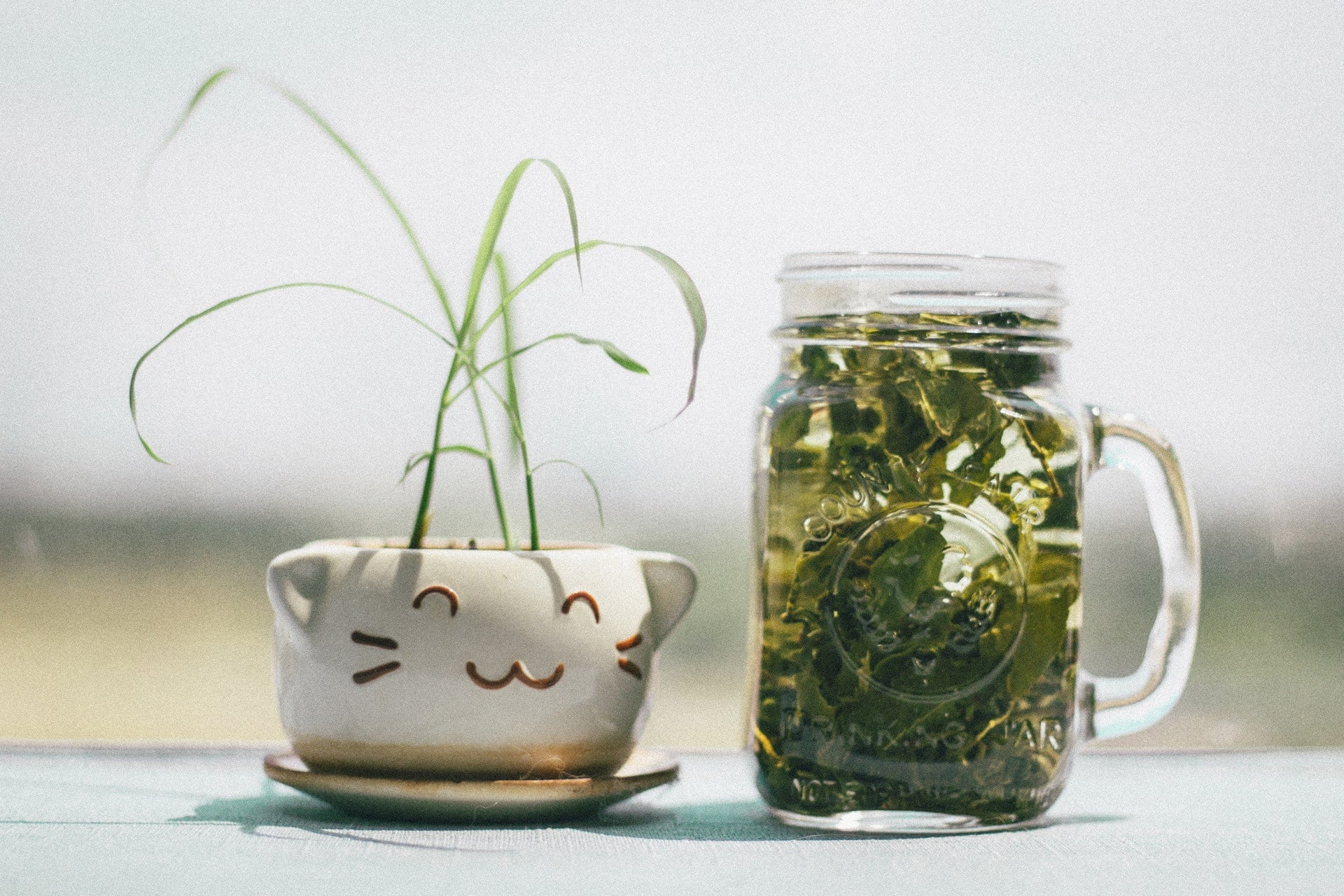 市售包裝茶飲料（冷泡茶）都是化工合成茶的迷思與破解