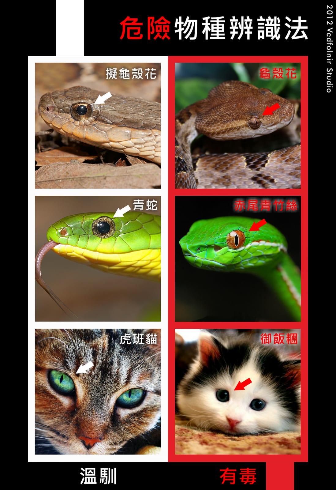 超危險生物辨識圖