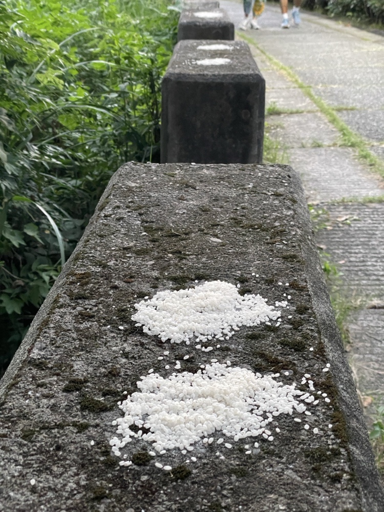 步道沿途石墩上隨處可見分批擺放的生白米,與自然環境顯得格格不入