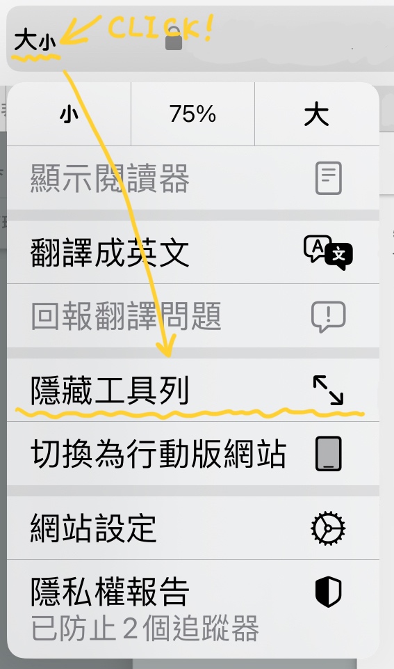 Safari browser function menu