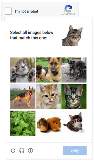 Google-Cat_ReCaptcha-Verify