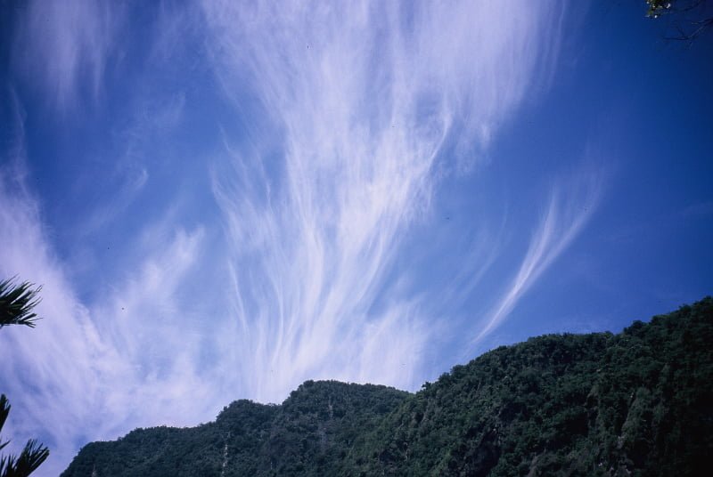 花蓮旅遊:太魯閣縱谷交通規劃全攻略(鐵路、公車、自駕汽車、機車與航线現況驗證)