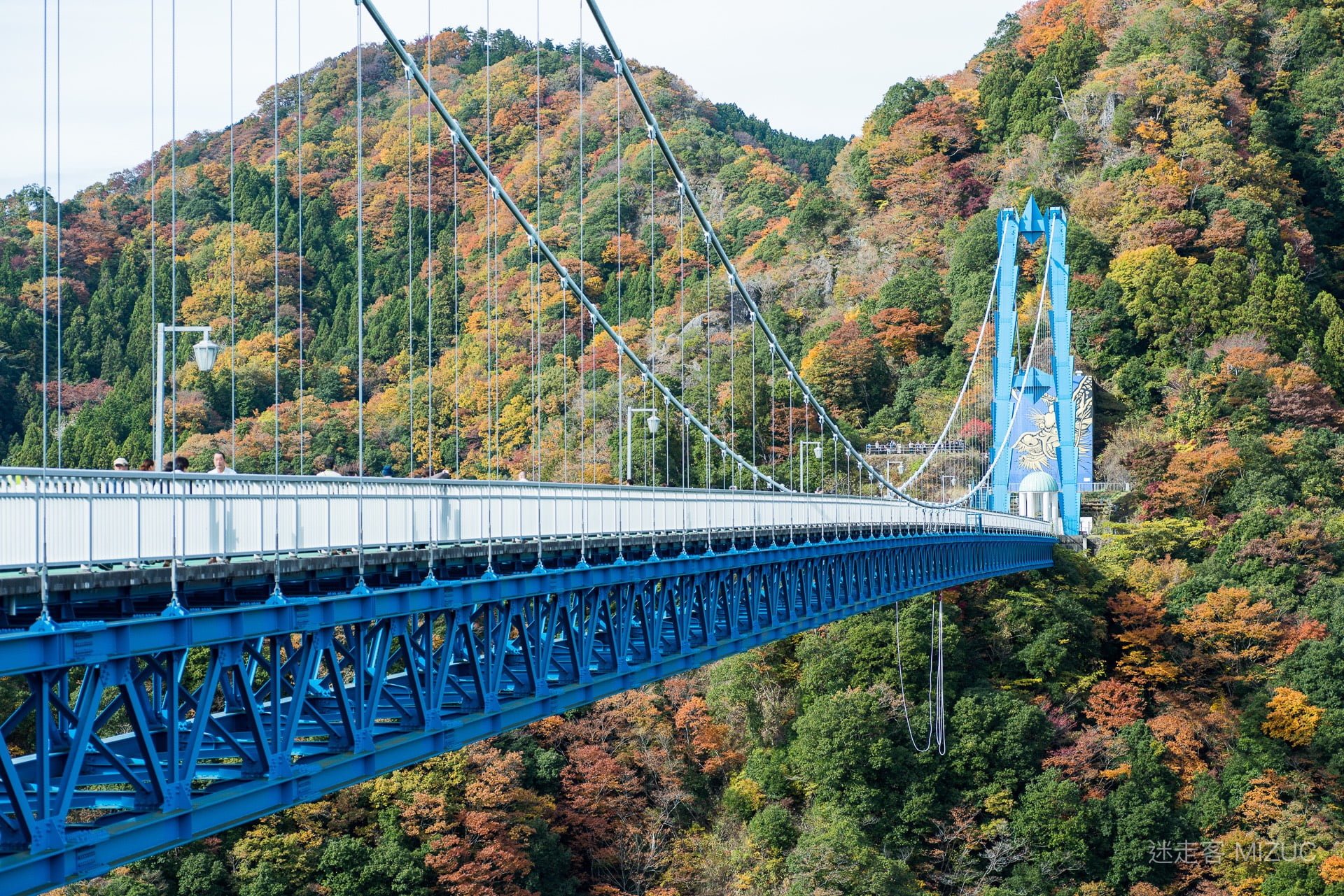 茨城縣「龍神大吊橋」：日本北關東賞楓名所與 100 公尺高空彈跳極限體驗