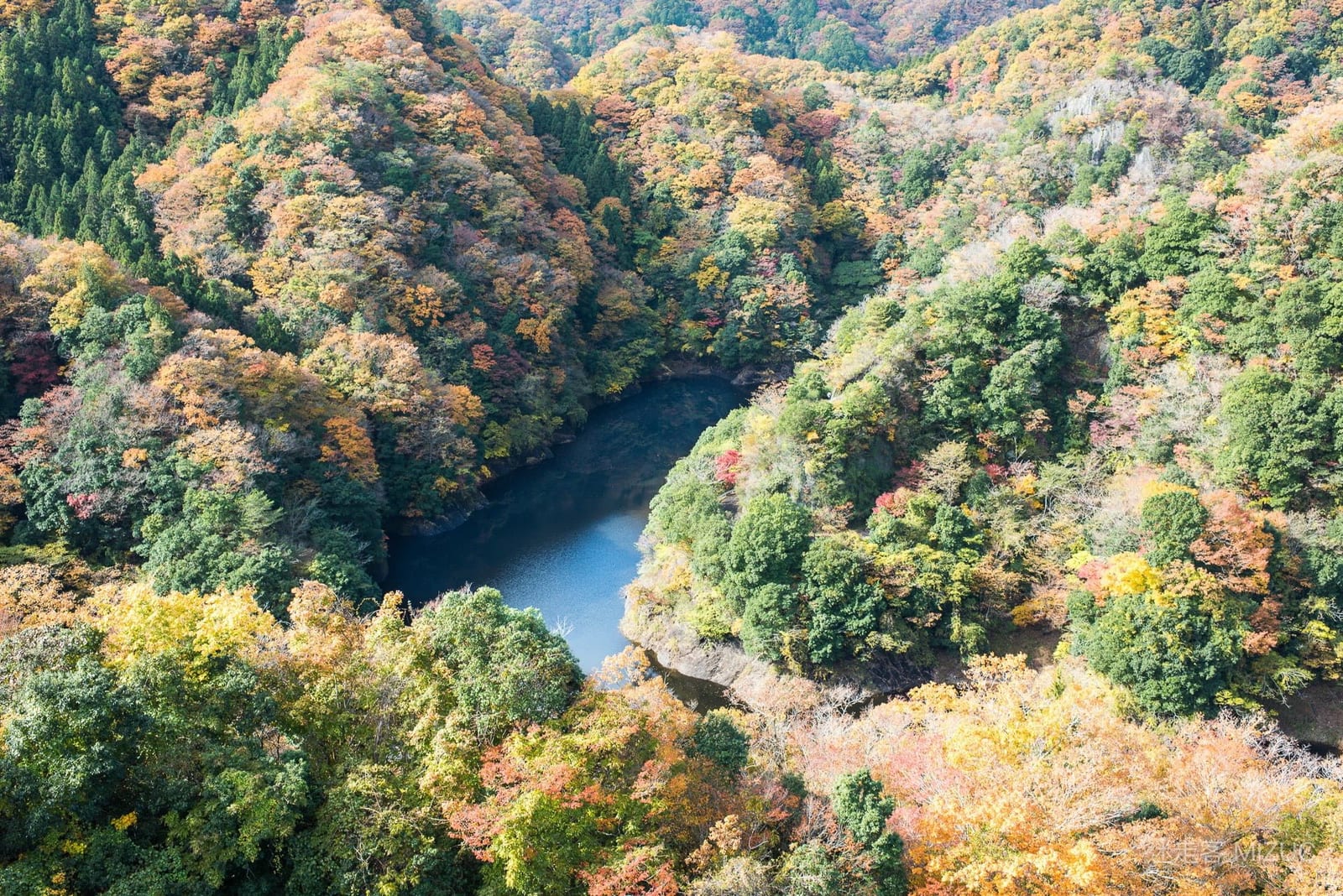 漫步在龍神大吊橋寬敞的人行木棧橋面上，兩側可飽覽無死角的開闊山水