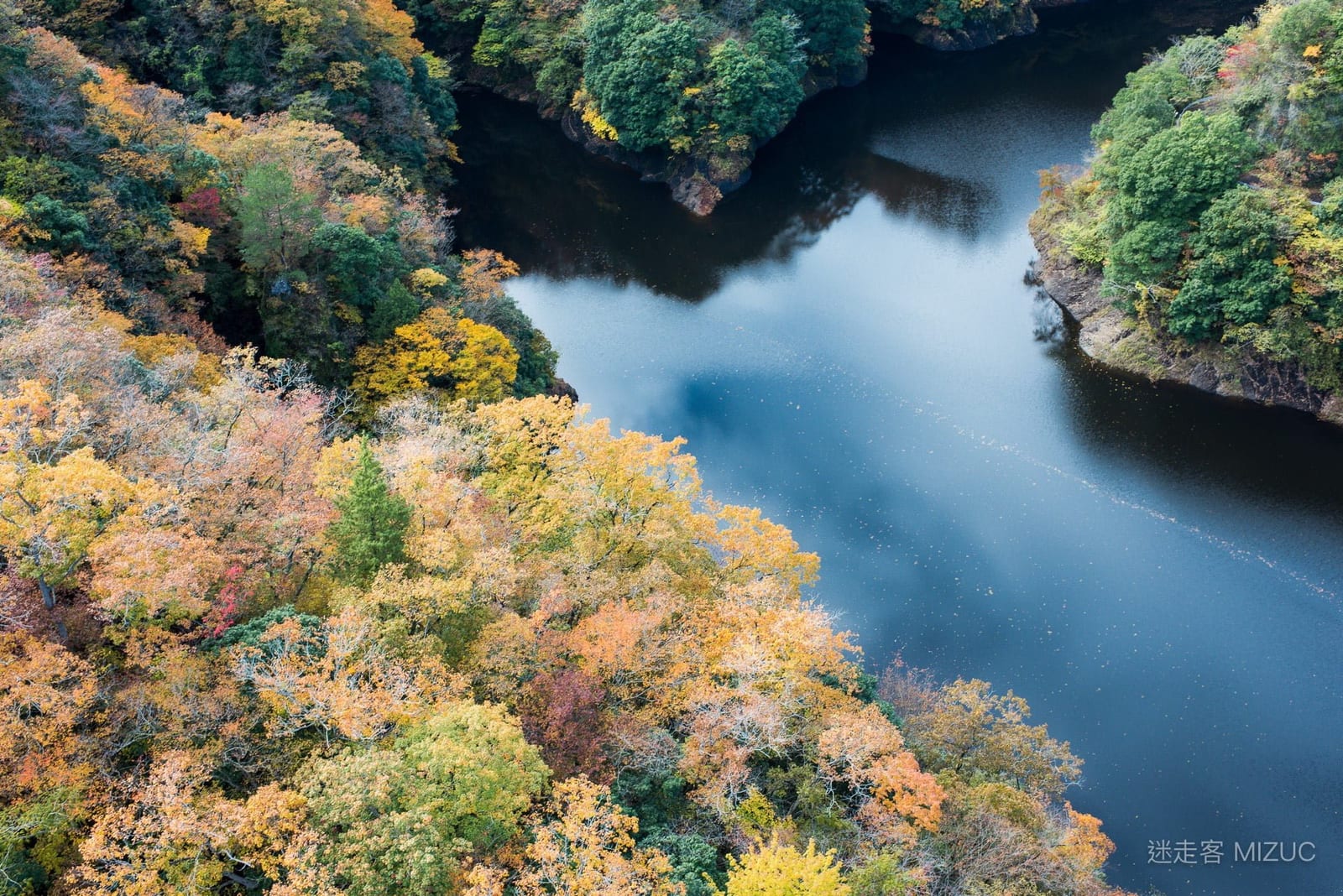 從吊橋上極目遠眺，深邃平靜的龍神湖蜿蜒穿過色彩斑斕的楓紅山嶺