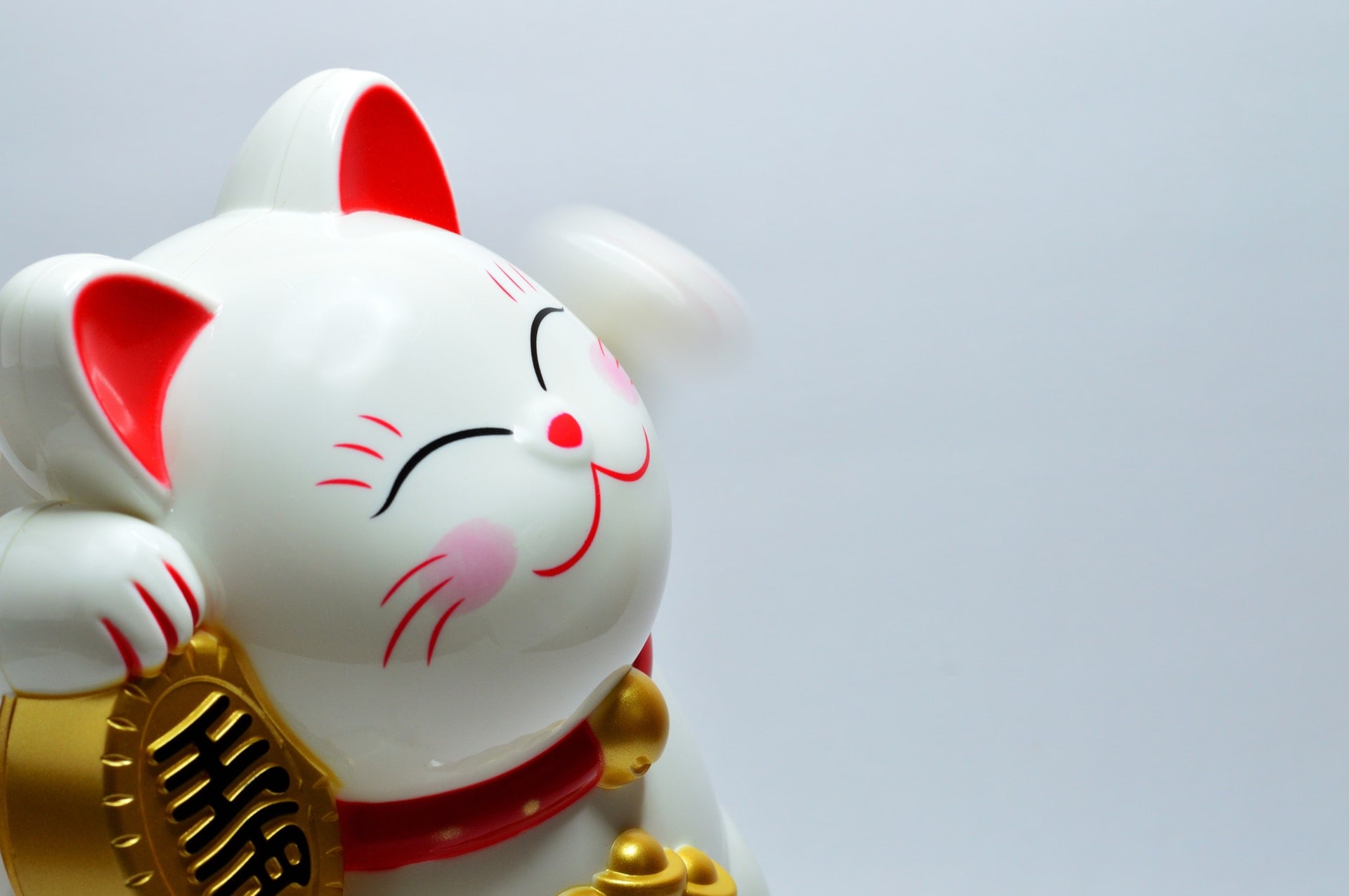 Is deafness in white cats a genetic disorder?Blue Eyes and Hearing