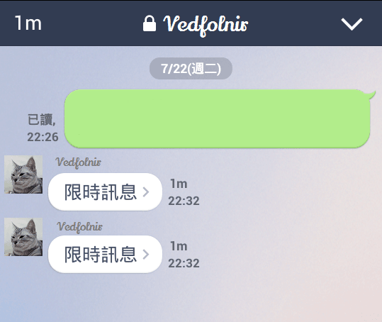 Line-Messenger-Chat-Secret-Security-Safe-Function-限時聊天-聊天畫面-Vedfolnir-4
