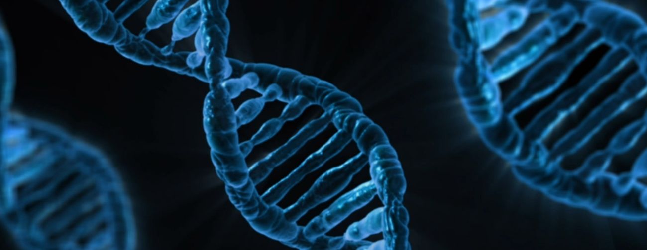 13年研究首次證明：表觀遺傳訊息的丟失導致生物衰老 有可能逆轉老化跡象