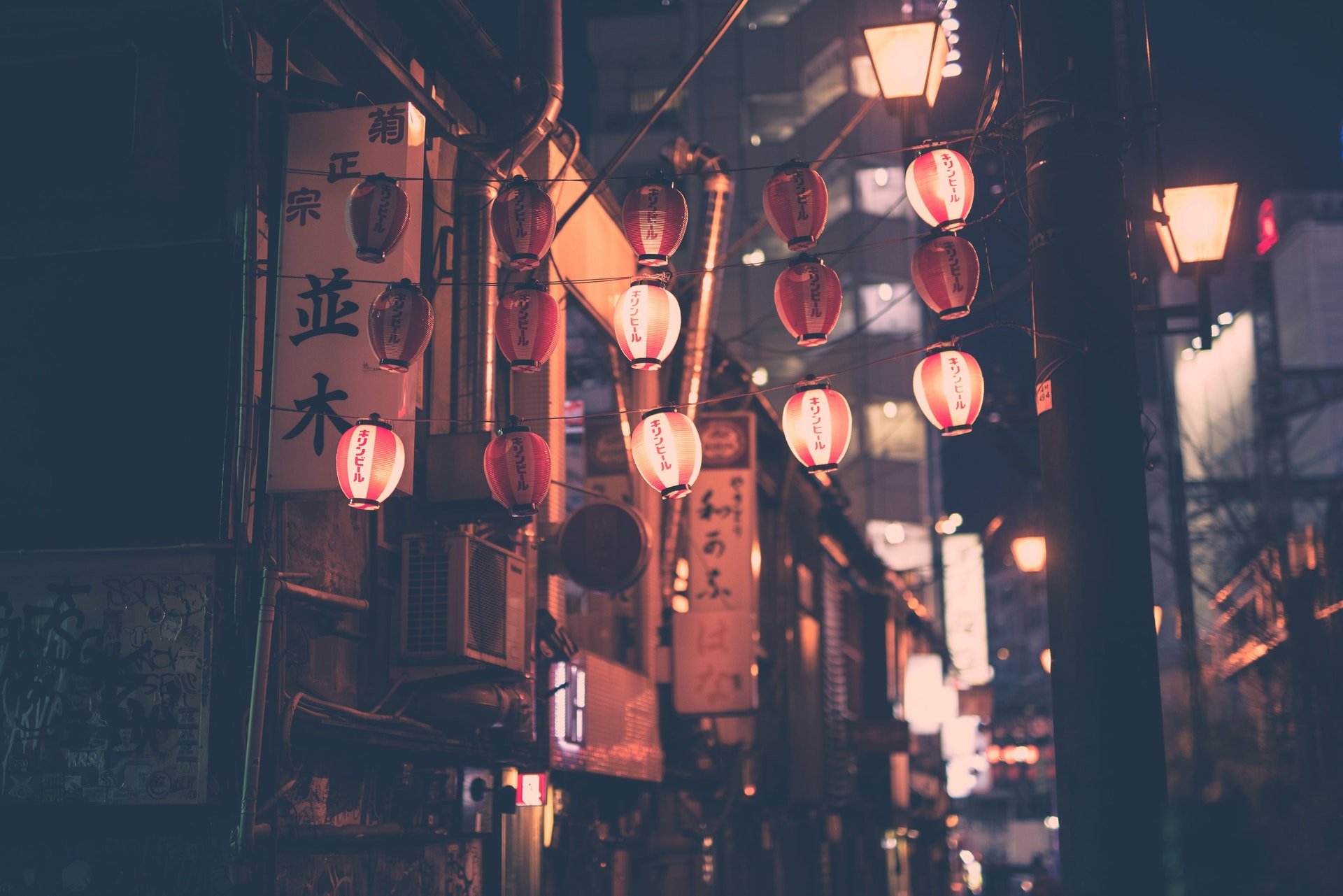 日本奈良:拜訪奈良鹿應注意的 5 件事