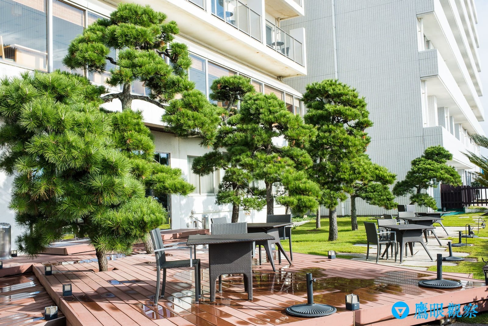 飯店一樓面向太平洋的松樹木棧道庭園