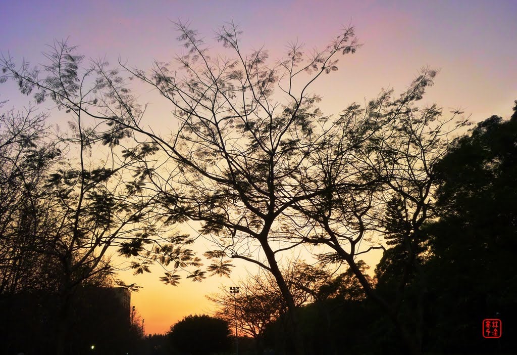淡水夕陽/真理大學