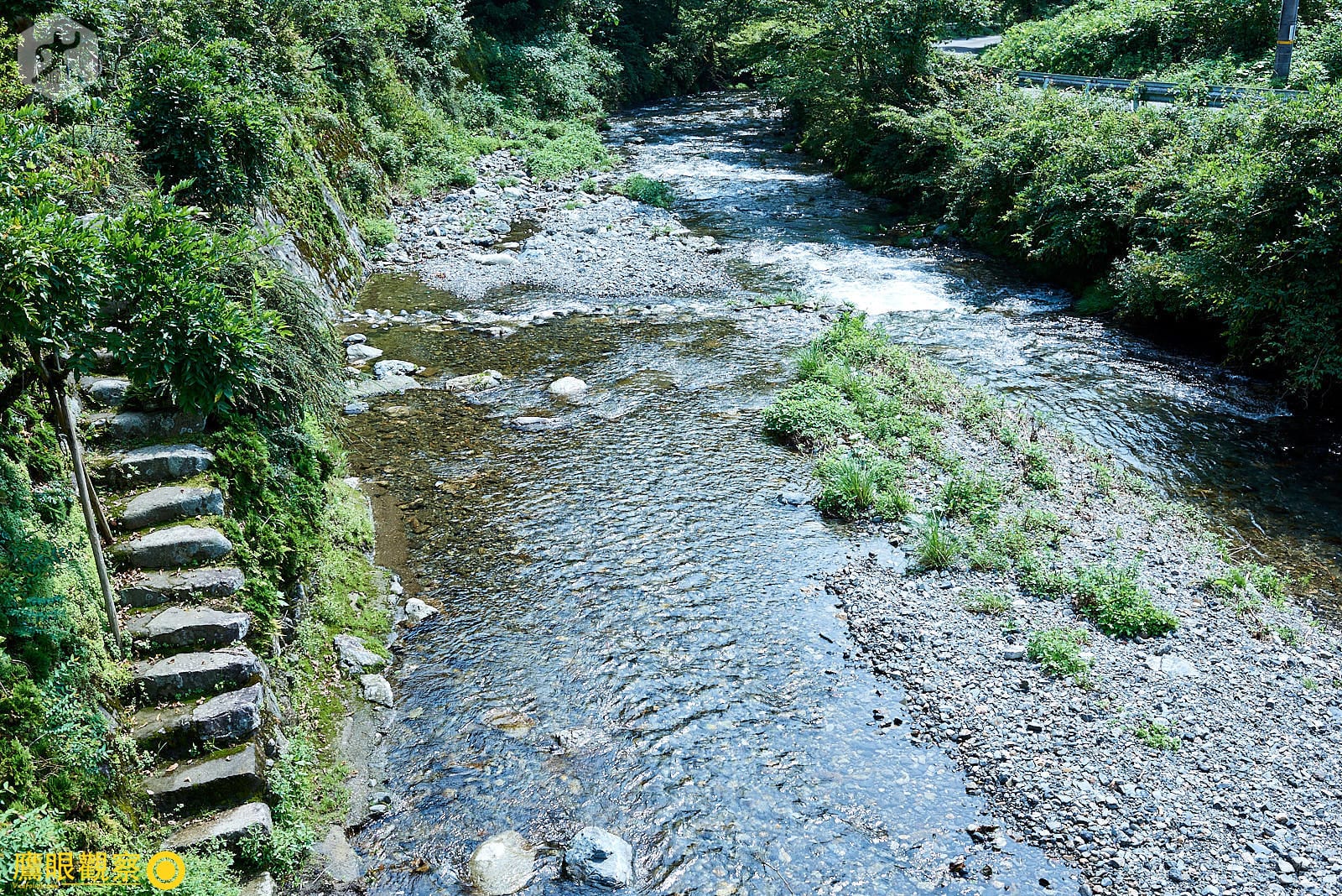 石裂山森林步道高聳巨木林蔭小道 03