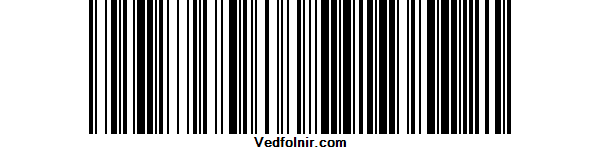 圖一，傳統 BARCODE 一維條碼。
