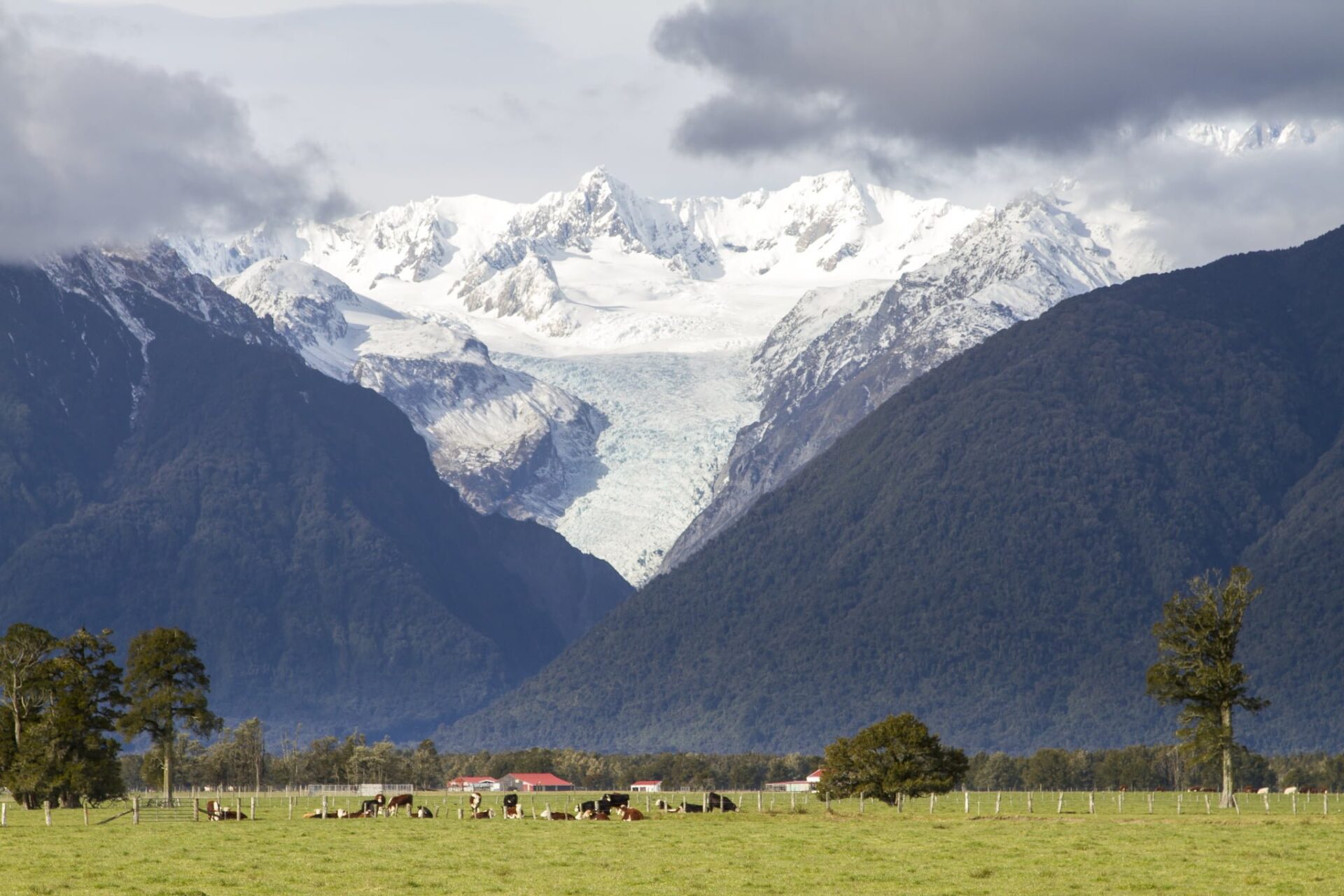 紐西蘭打工度假旅行 NZ 自助旅行 2006