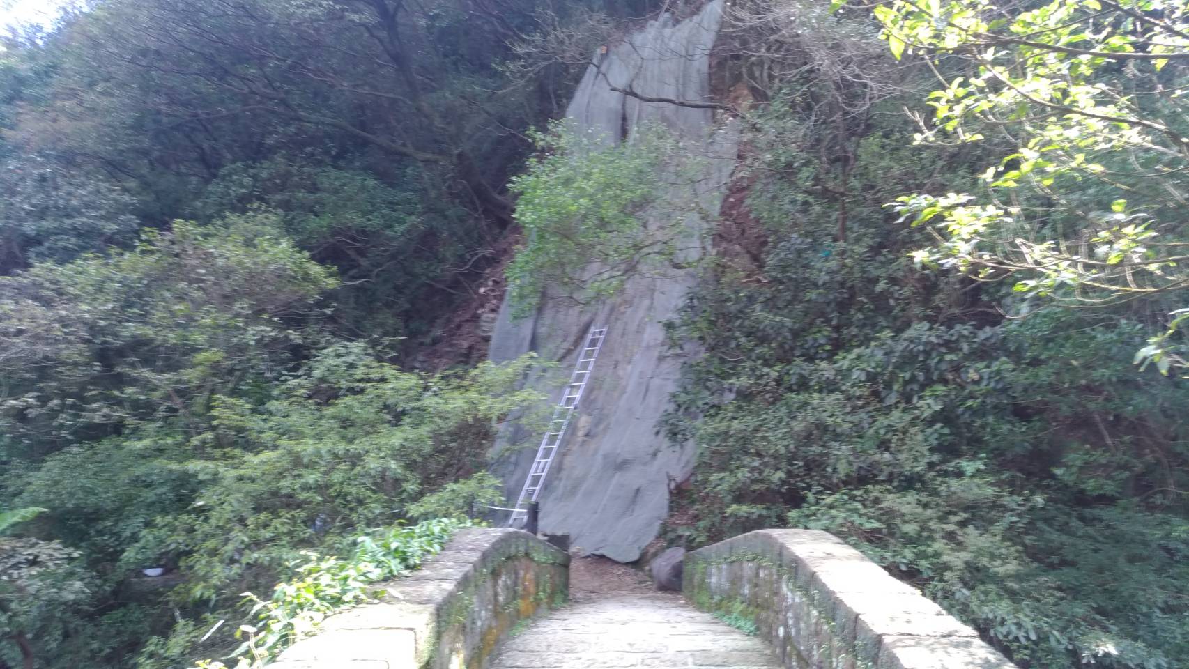走入時光隧道,陽明山魚路古道重新開放迎客!